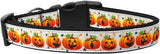 Pumpkin Parade Dog Collar