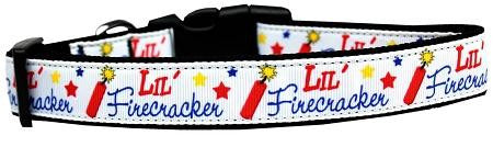 Little Firecracker Dog Collar