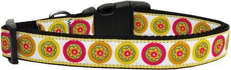 Autumn Daisies Dog Collar