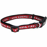 Tampa Bay Buccaneers Collar