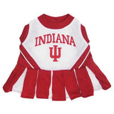 Indiana Hoosiers Cheer Leading