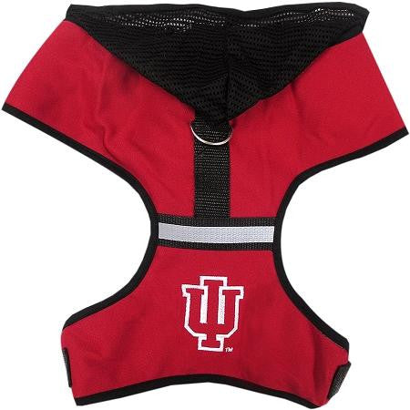 Indiana Hoosiers Pet Harness