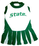 Michigan State Spartans Cheer Leading