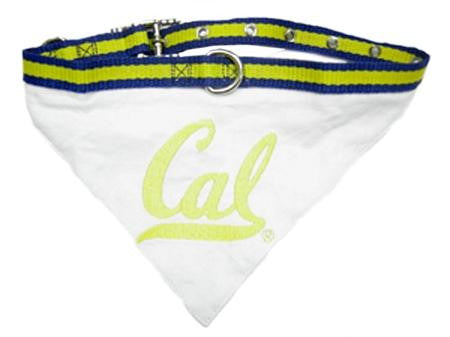 California State Golden Bears Bandana