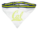 California State Golden Bears Bandana