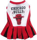 Chicago Bulls Dog Cheer Leading