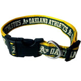 Oakland A's Dog Collar