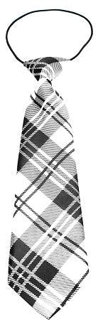 Big Dog Neck Tie Plaid White