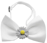 Daisies Chipper  Bow Tie