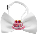 Pink Birthday Cake Chipper  Bow Tie