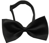 Plain  Bow Tie