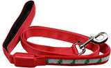 Led Dog Leash Santa