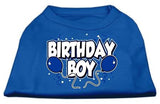 Birthday Boy Screen Print Shirts