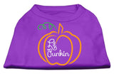 Lil Punkin Screen Print Dog Shirt