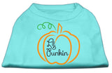 Lil Punkin Screen Print Dog Shirt