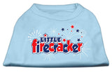 Little Firecracker Screen Print Shirts