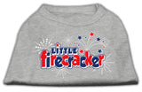 Little Firecracker Screen Print Shirts