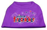 Little Firecracker Screen Print Shirts