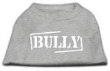 Bully Screen Printed Shirt