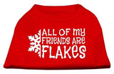 All My Friends Are Flakes Screen Print Shirt