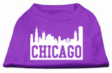 Chicago Skyline Screen Print Shirt