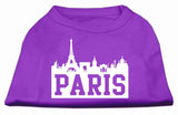 Paris Skyline Screen Print Shirt