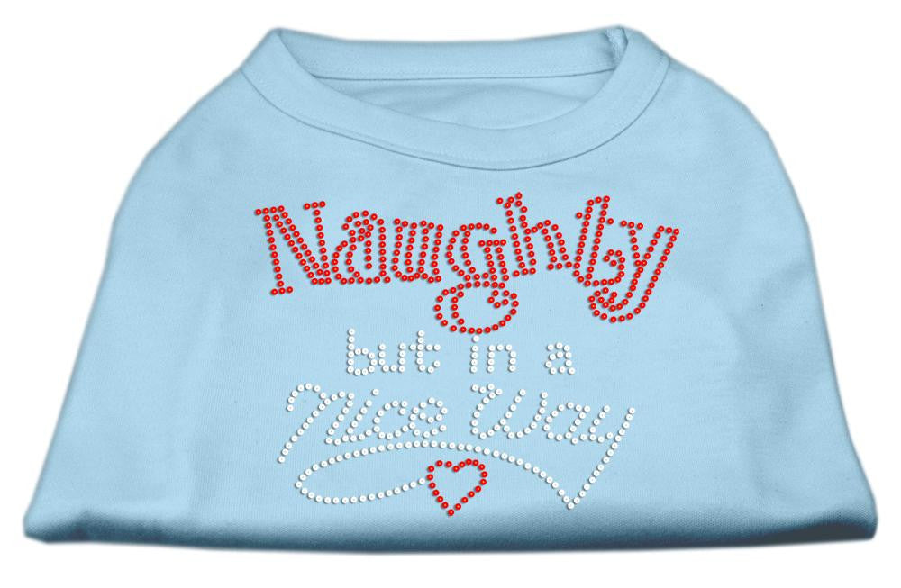 Naughty But Nice Rhinestone Shirts