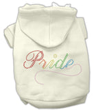 Rainbow Colored Pride Hoodies