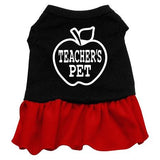 Teachers Pet Screen Print Dress