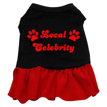 Local Celebrity Screen Print Dress