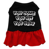 You Come, You Sit, You Stay Screen Print Dress