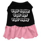 You Come, You Sit, You Stay Screen Print Dress