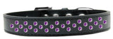 Sprinkles Dog Collar Purple Crystals