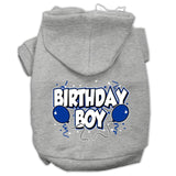 Birthday Boy Screen Print Pet Hoodies