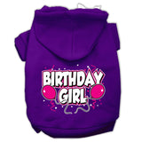 Birthday Girl Screen Print Pet Hoodies