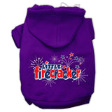 Little Firecracker Screen Print Pet Hoodies