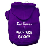 Dear Santa I Went With Naughty Screen Print Pet Hoodies