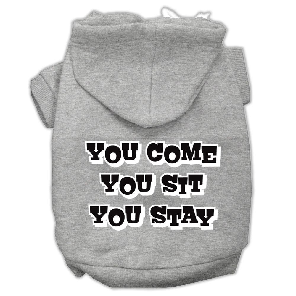 You Come, You Sit, You Stay Screen Print Pet Hoodies