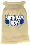 Birthday Boy Screen Print Knit Pet Sweater