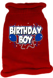 Birthday Boy Screen Print Knit Pet Sweater