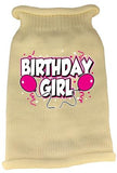 Birthday Girl Screen Print Knit Pet Sweater