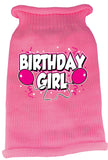 Birthday Girl Screen Print Knit Pet Sweater