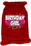 Birthday Girl Screen Print Knit Pet Sweater