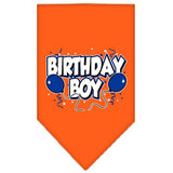 Birthday Boy Screen Print Bandana