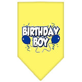 Birthday Boy Screen Print Bandana