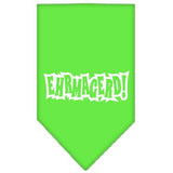 Ehrmagerd Screen Print Bandana