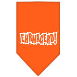 Ehrmagerd Screen Print Bandana