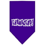 Ehrmagerd Screen Print Bandana