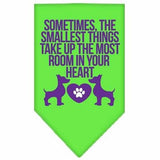 Smallest Things Screen Print Bandana