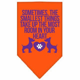 Smallest Things Screen Print Bandana